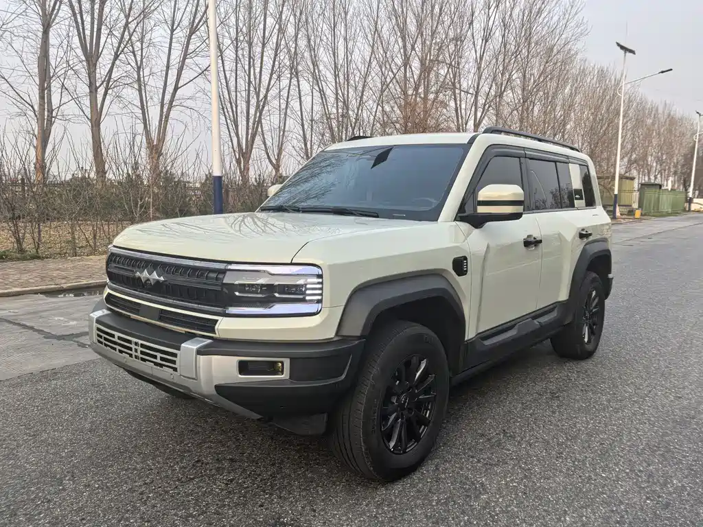 Leopard 5 2023 Pilot Edition купить на сайте DeffCars