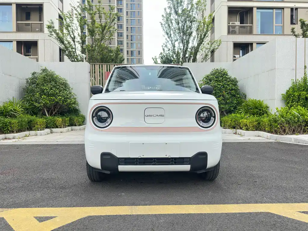 Panda (Geome) 2024 model 200km kart купить на сайте DeffCars