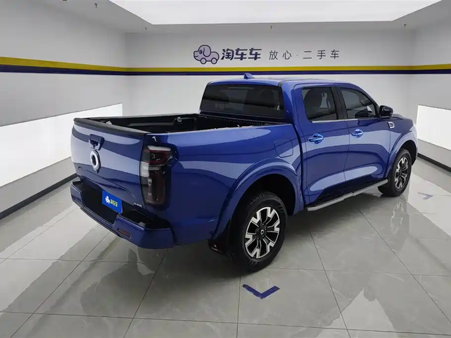 Cannon 2019 2.0T automatic gasoline two-wheel drive comfort version GW4C20B купить на сайте DeffCars