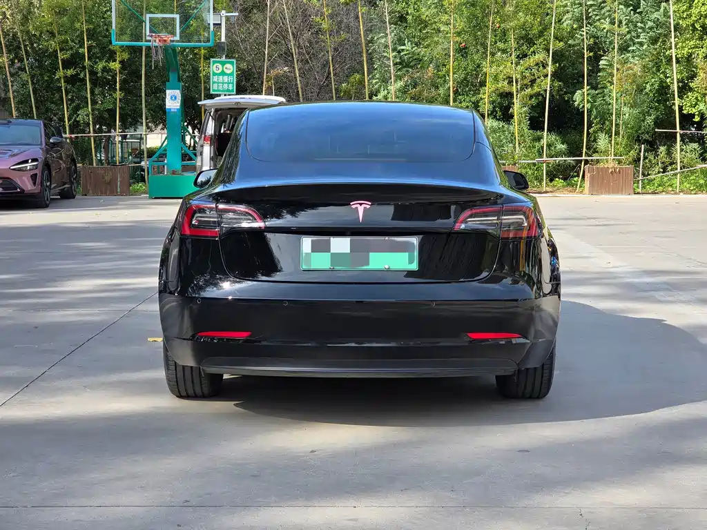 Model 3 2022 rear-wheel drive version купить на сайте DeffCars