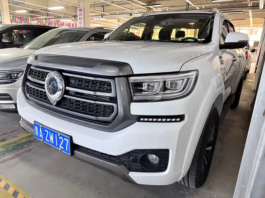 Cannon 2023 2.0T passenger version automatic gasoline four-wheel drive exclusive model GW4C20B купить на сайте DeffCars