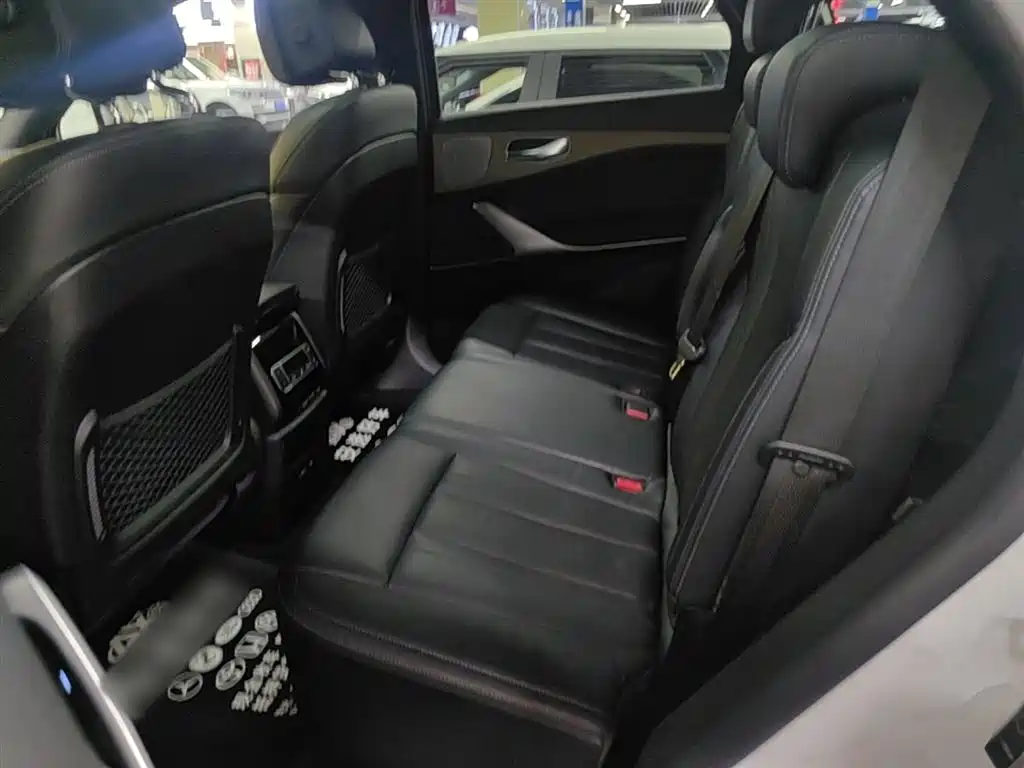 Denza X 2020 PHEV flagship version купить на сайте DeffCars