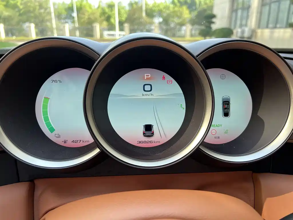 Euler Lightning Cat 2022 555km Premium Edition купить на сайте DeffCars