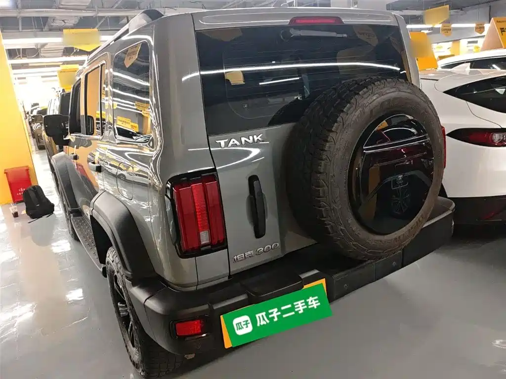 Tank 300 2021 Off-Road Version 2.0T Conqueror купить на сайте DeffCars