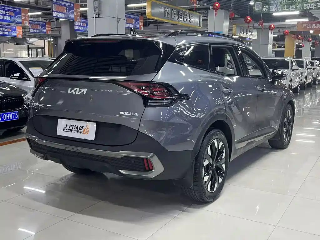 Lion Platinum Extends the World 2023 2.0T Two-wheel Drive Premium Edition купить на сайте DeffCars