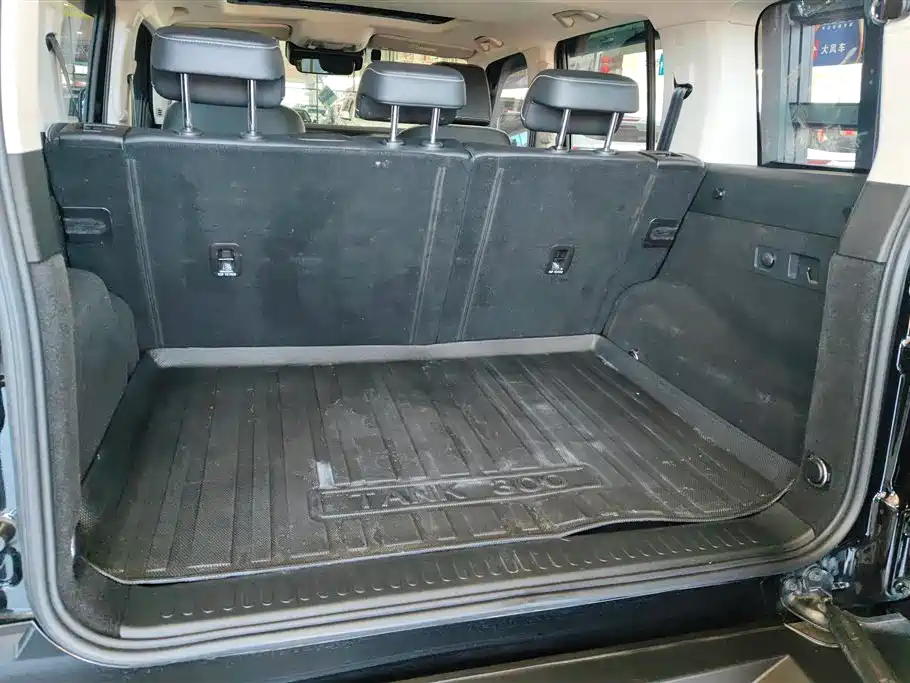 Tank 300 2021 City Edition 2.0T Very Stylish купить на сайте DeffCars