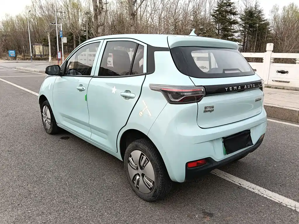 Reading Mango 2021 Qumang Yuedong Edition 200km купить на сайте DeffCars