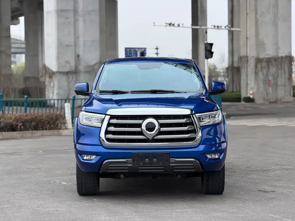 Cannon 2021 2.0T Passenger Global Version Automatic Diesel Two-wheel Drive Comfort Standard Box GW4D20M купить на сайте DeffCars