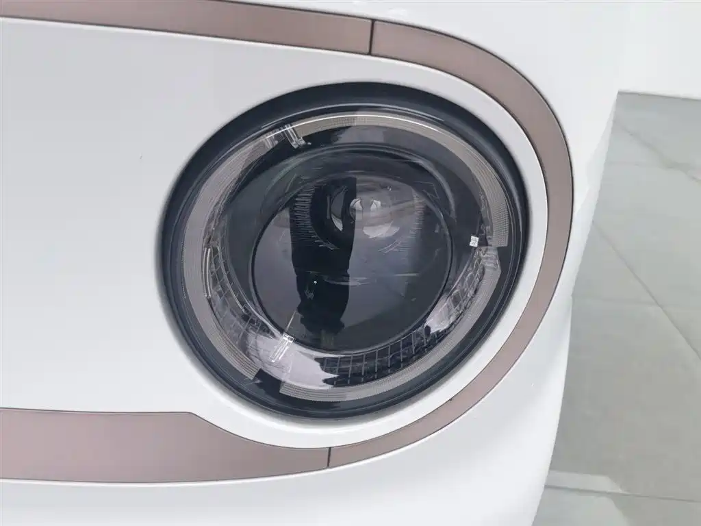 Panda 2023 Panda mini 120km Asian Games Bear купить на сайте DeffCars