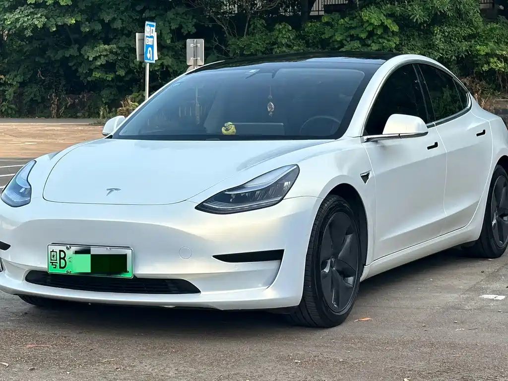 Model 3 2020 Standard Range Rear Drive Upgraded Version купить на сайте DeffCars