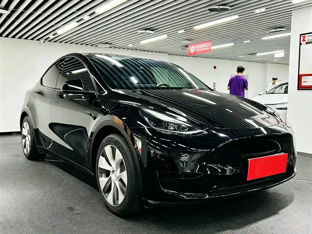 Model Y 2022 rear-wheel drive version купить на сайте DeffCars