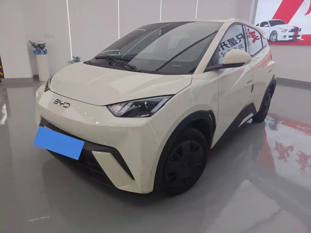 Seagull 2025 305km active version купить на сайте DeffCars