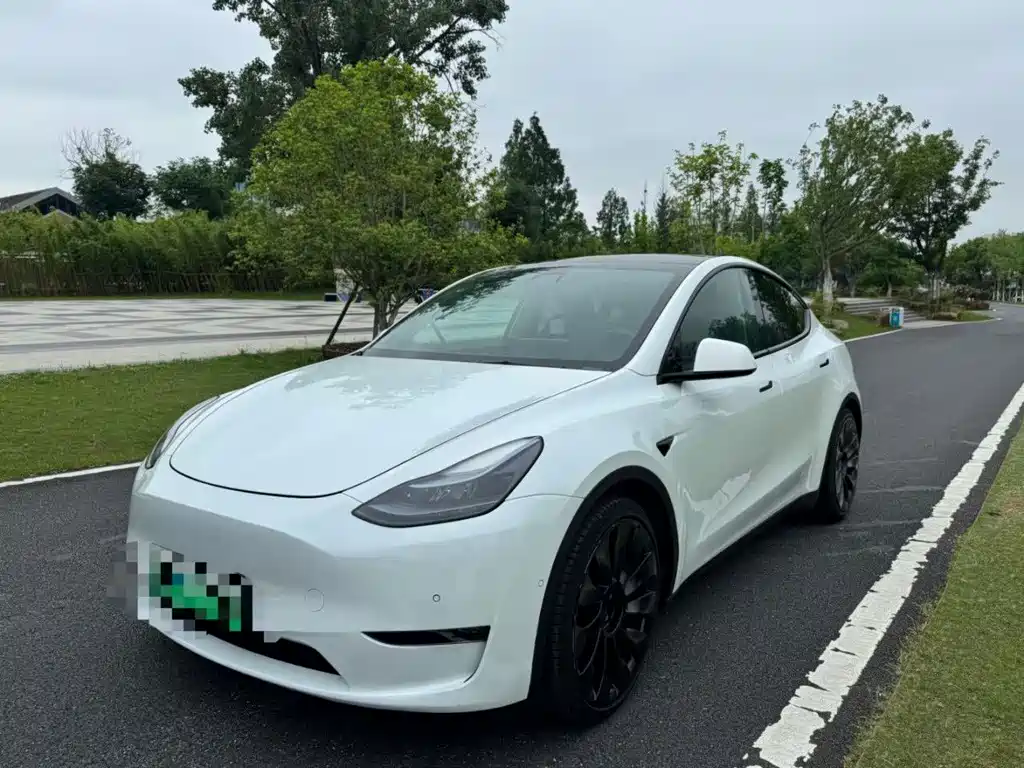 Model Y 2022 Performance high-performance all-wheel drive version купить на сайте DeffCars