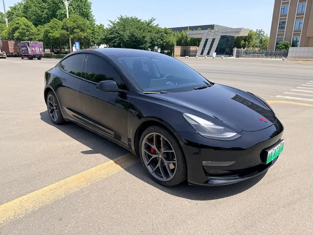Model 3 2022 Performance high-performance all-wheel drive version купить на сайте DeffCars