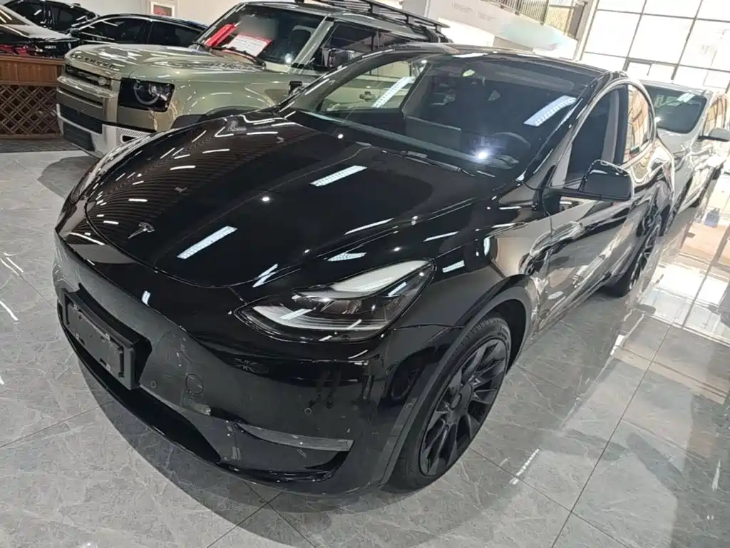 Model Y 2021 standard range rear-wheel drive version купить на сайте DeffCars