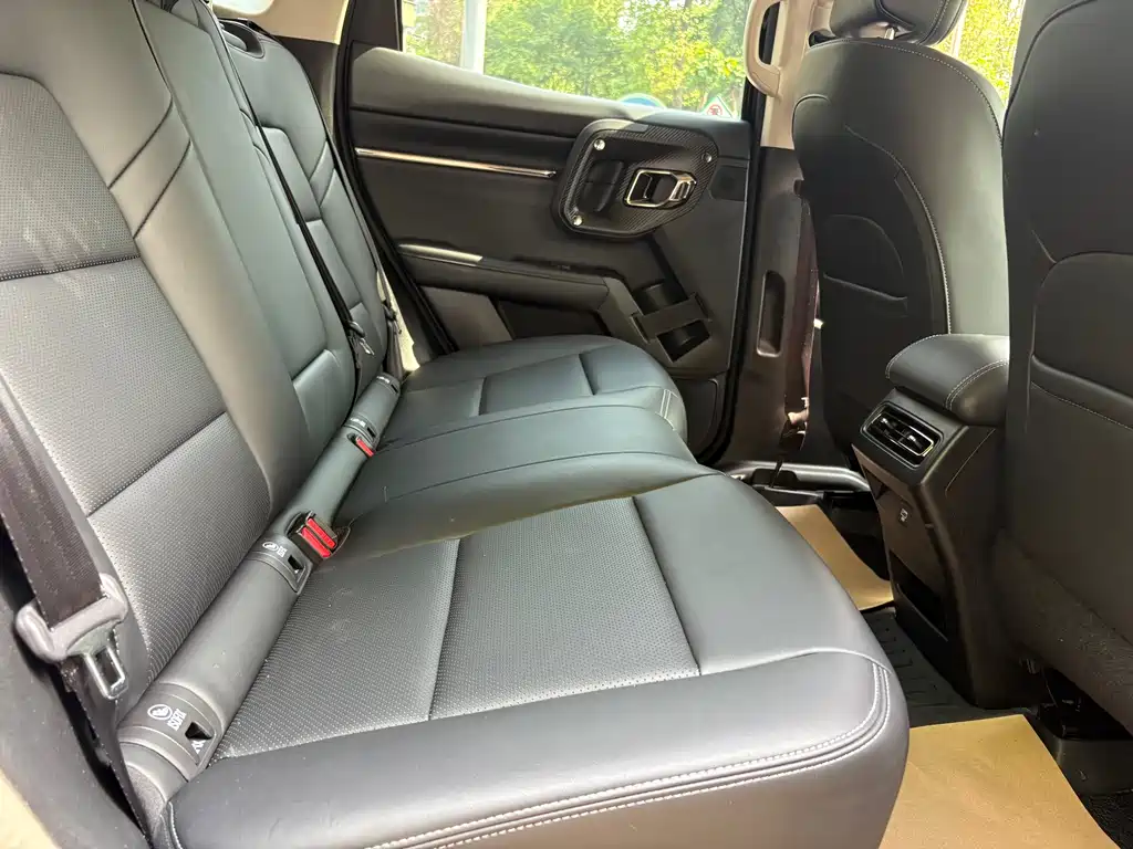 Haval Big Dog PLUS 2023 2.0T two-wheel drive wild version Plus купить на сайте DeffCars