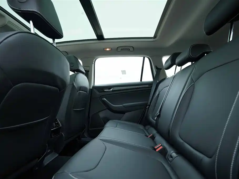 Kodiak 2024 TSI330 5-seater two-wheel drive powerful version купить на сайте DeffCars