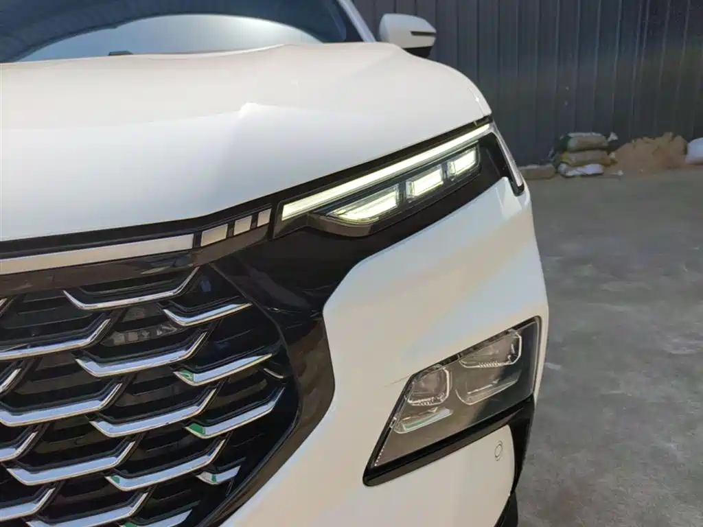 Lingrui 2022 EcoBoost 170 collar type купить на сайте DeffCars