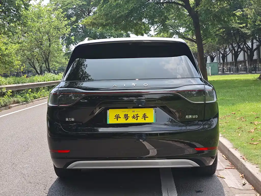 Wenjie M9 2024 extended range Ultra version 42kWh 6-seater version купить на сайте DeffCars