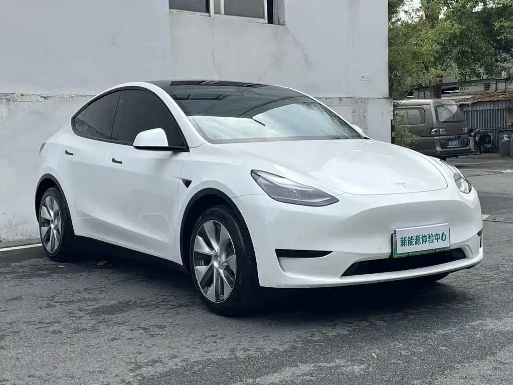 Model Y 2022 rear-wheel drive version купить на сайте DeffCars