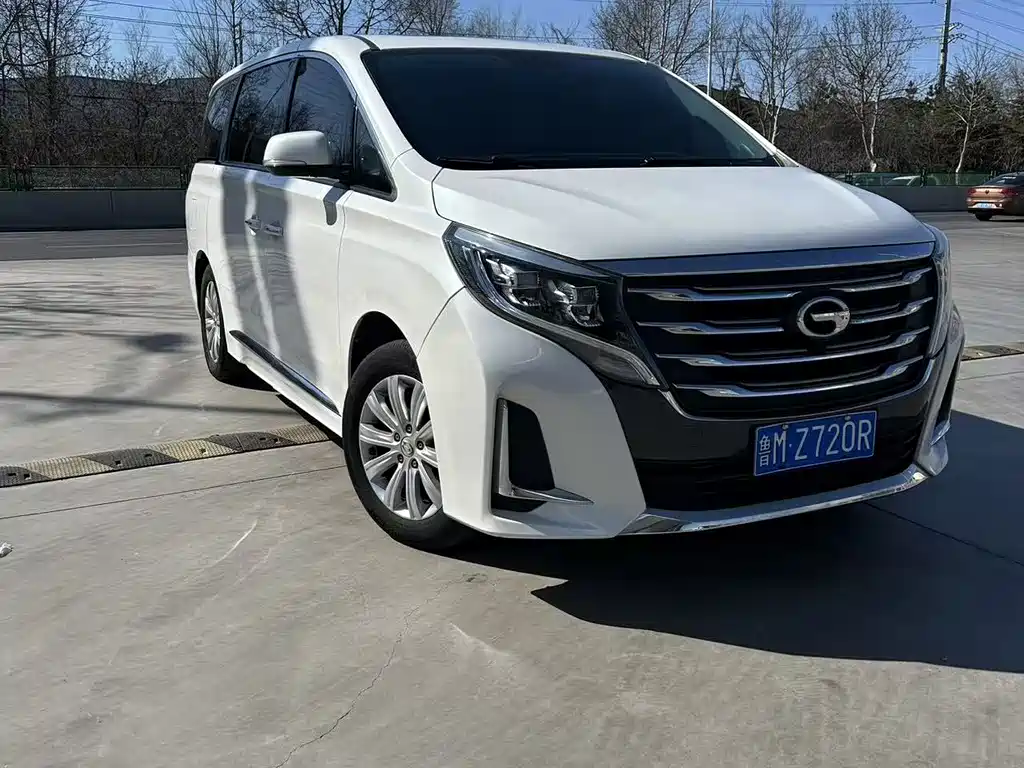 Trumpchi M8 2020 Pilot Model 390T Exclusive Edition купить на сайте DeffCars