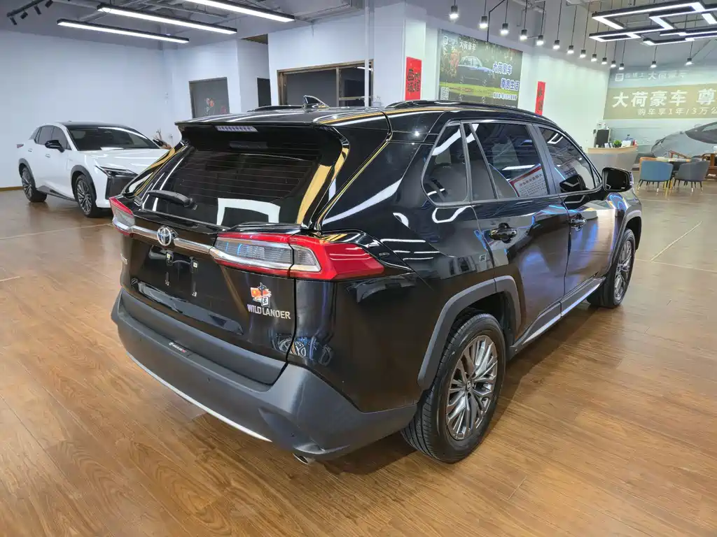 Wilanda 2024 2.0L CVT two-wheel drive luxury PLUS version купить на сайте DeffCars