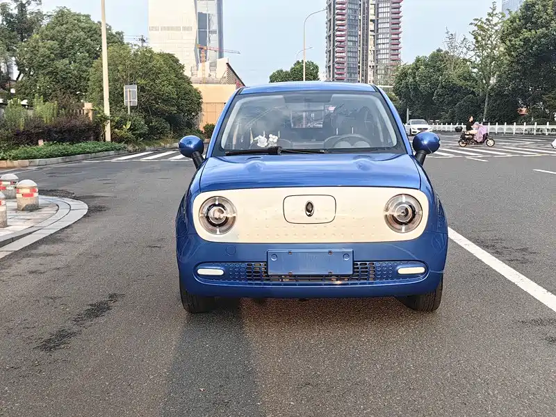 Euler Black Cat 2019 351km parent-child version купить на сайте DeffCars