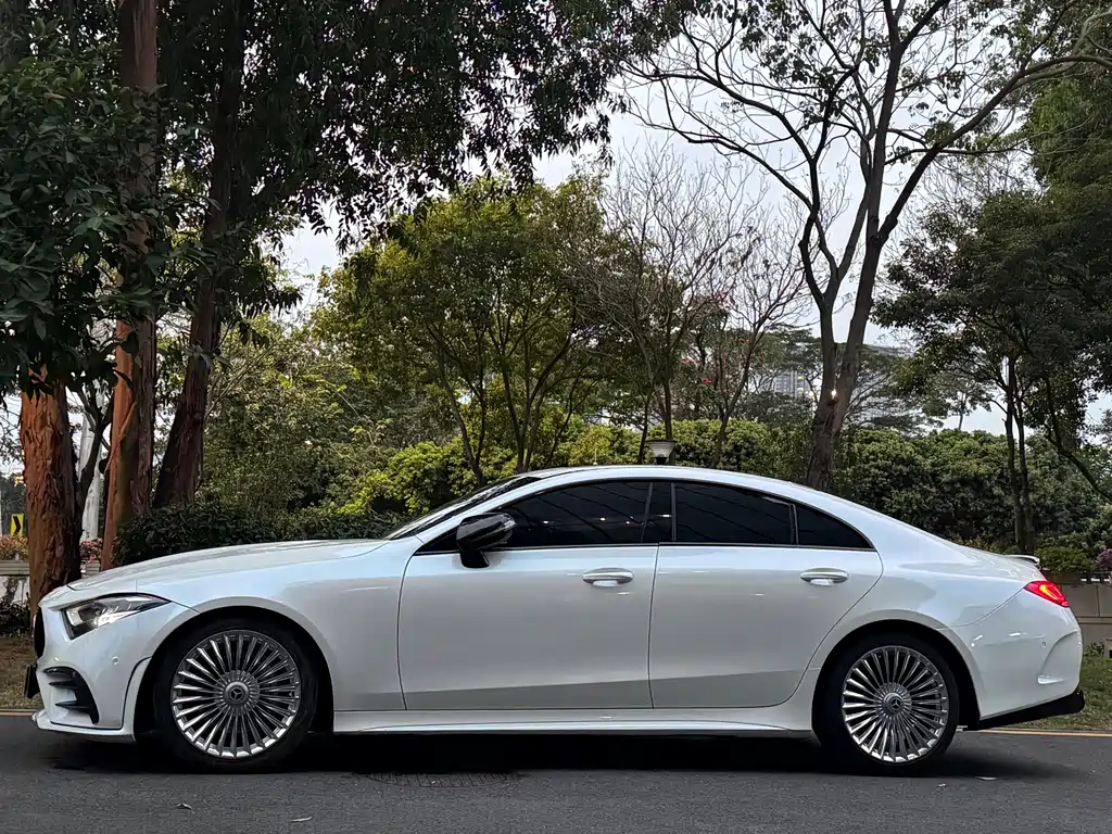 Mercedes-Benz CLS 2020 CLS 300 Dynamic купить на сайте DeffCars