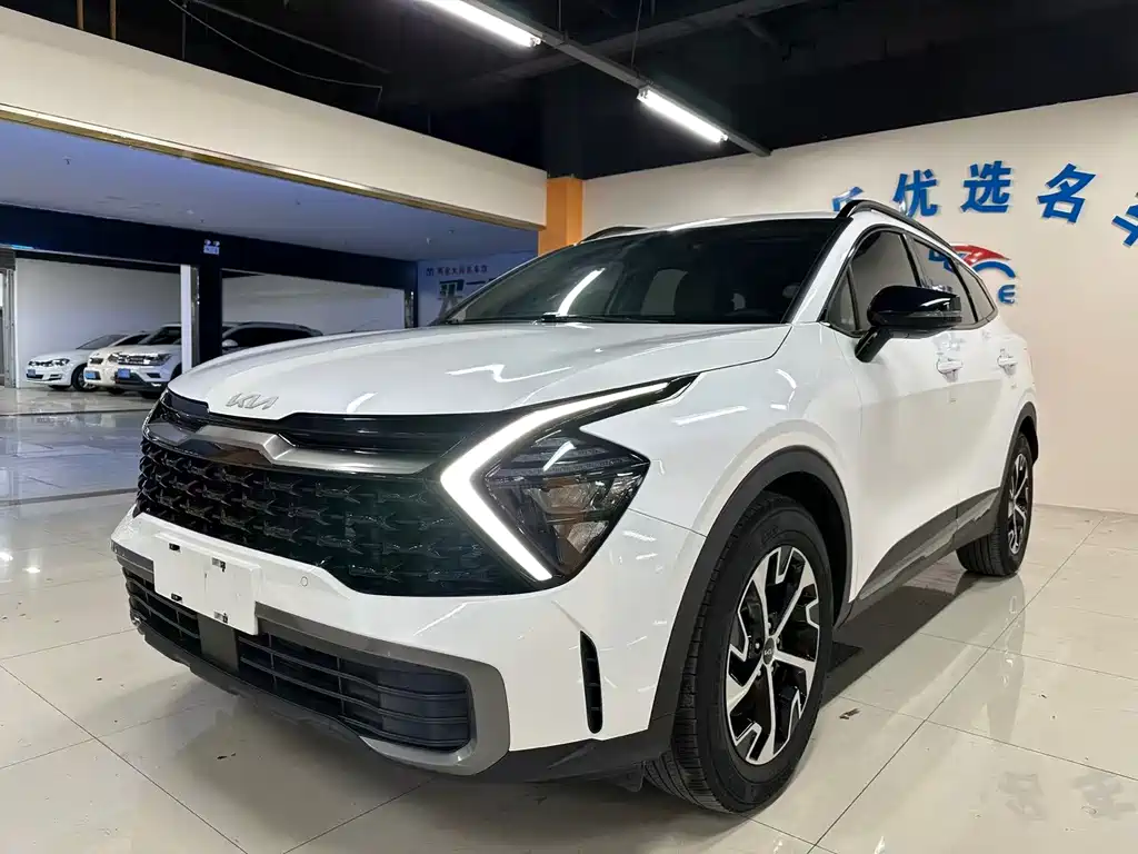 Lion Expands the Boundary 2023 2.0L HEV Two-wheel Drive Premium Edition купить на сайте DeffCars