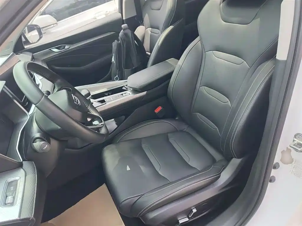 Xingrui 2021 2.0TD luxury model купить на сайте DeffCars