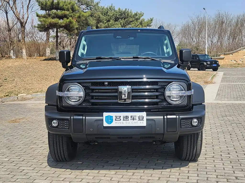 Tank 300 2025 2.0T Gasoline Conqueror купить на сайте DeffCars