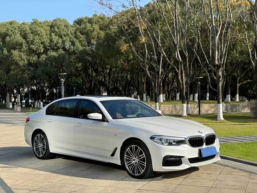 BMW 5 Series 2019 530Li Leading M Sports Package купить на сайте DeffCars
