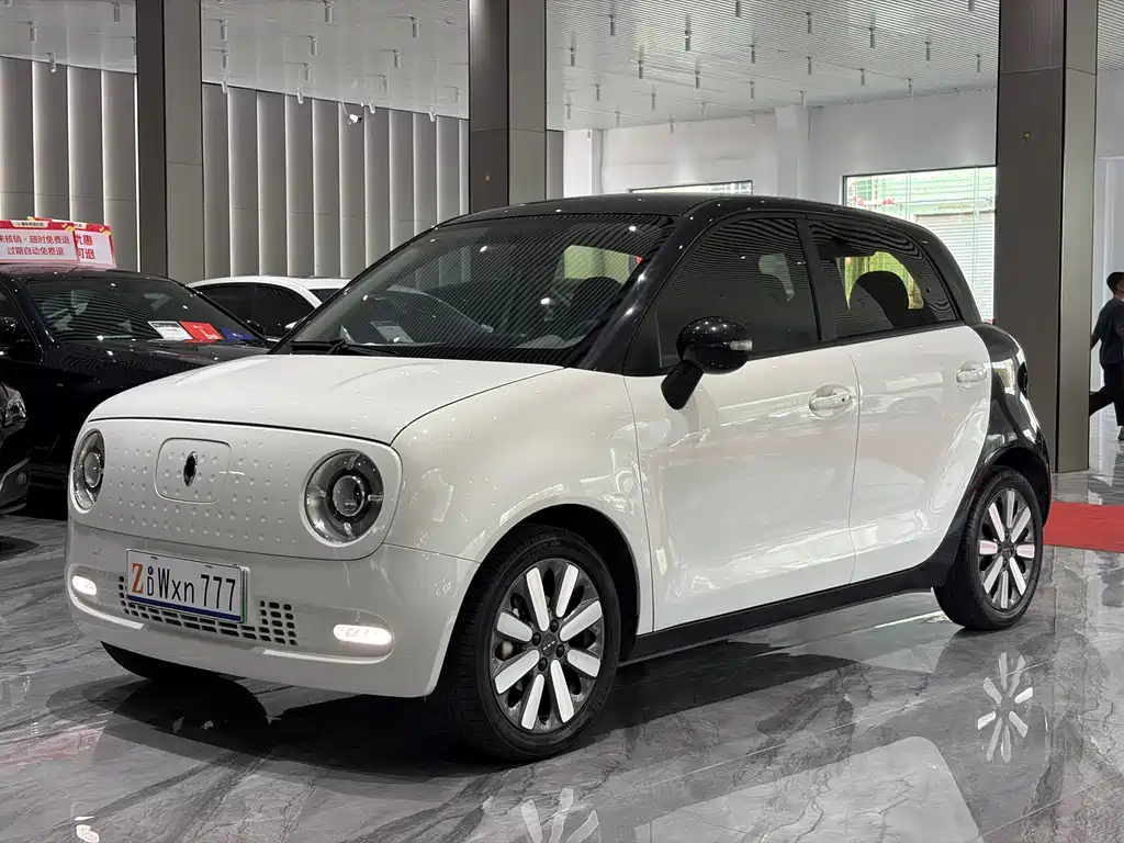 Euler Black Cat 2021 351km standard model купить на сайте DeffCars