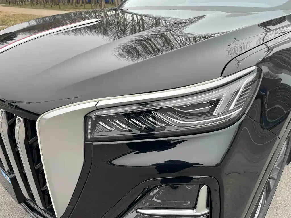Hongqi HS5 2023 2.0T Qixiang Pro version купить на сайте DeffCars