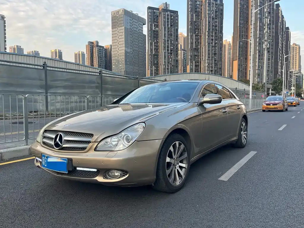 Mercedes-Benz CLS 2009 CLS 300 купить на сайте DeffCars