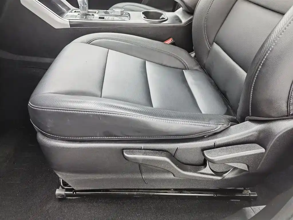 Cannon 2021 2.0T commercial version automatic diesel two-wheel drive elite long box GW4D20M купить на сайте DeffCars