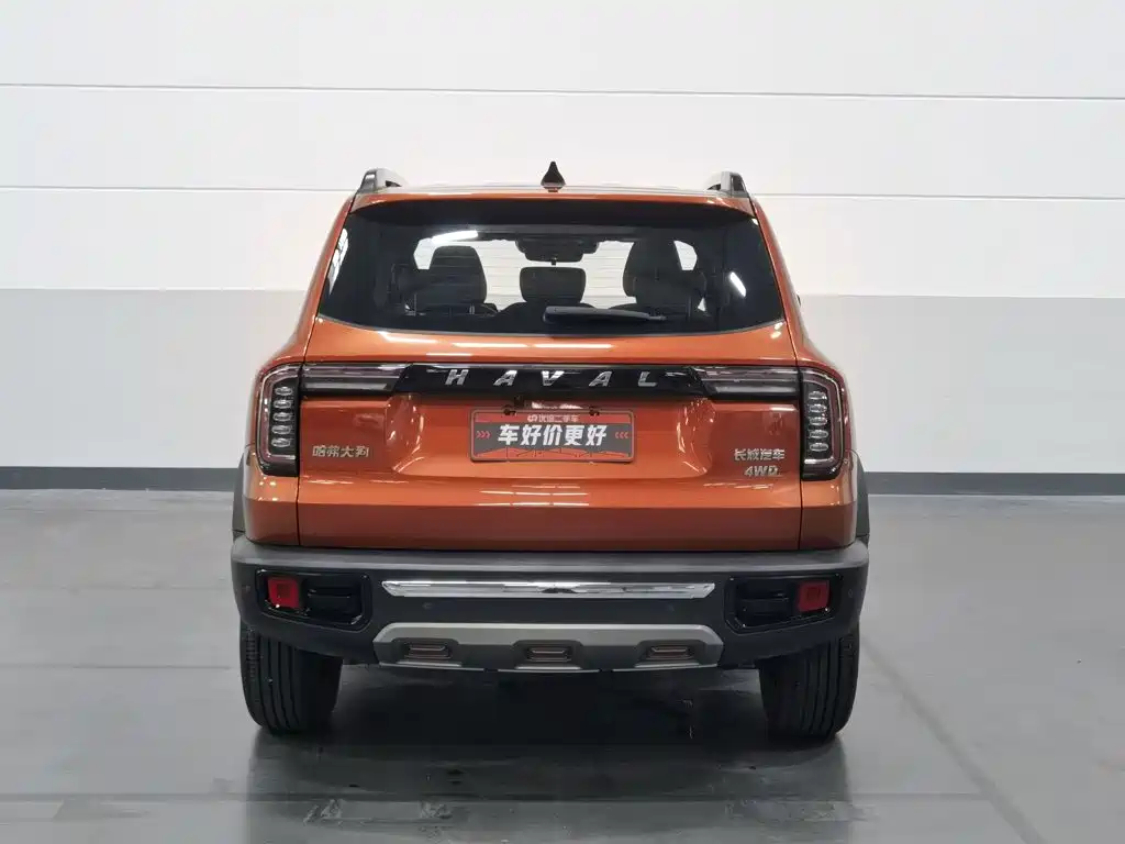 Great Wall Big Dog 2021 2.0T DCT four-wheel drive Chinese pastoral dog version купить на сайте DeffCars