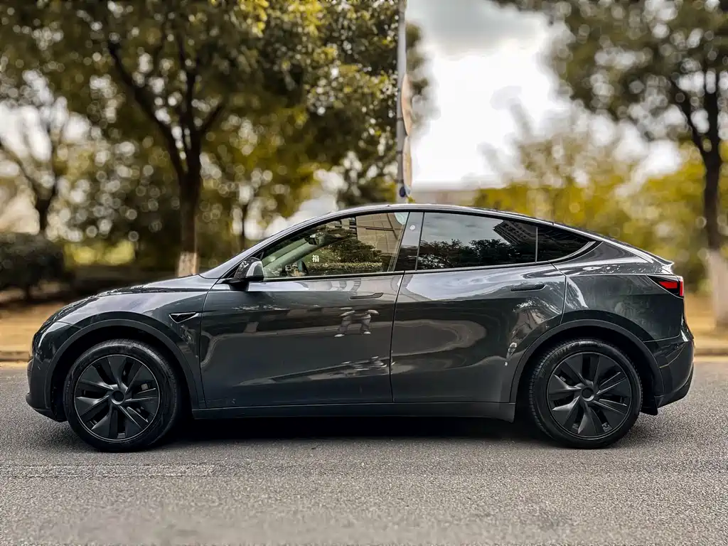 Model Y 2024 rear-wheel drive version купить на сайте DeffCars