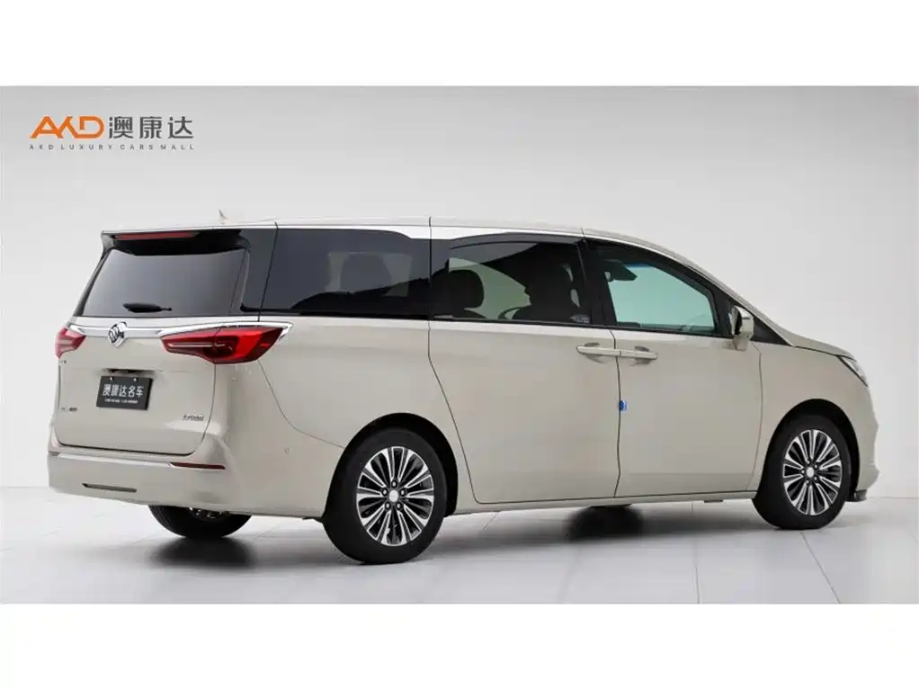 Buick GL8/2.0T/22 models/ES Lu Zun 653T luxury model купить на сайте DeffCars