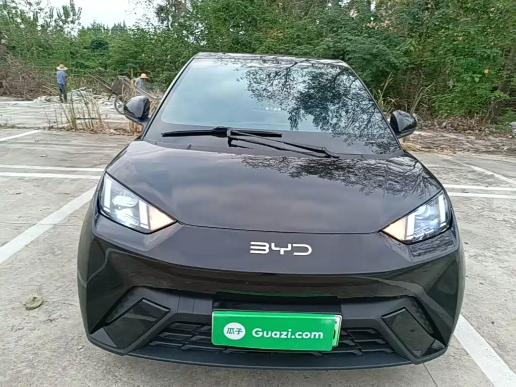 Seagull 2023 Vitality Edition купить на сайте DeffCars