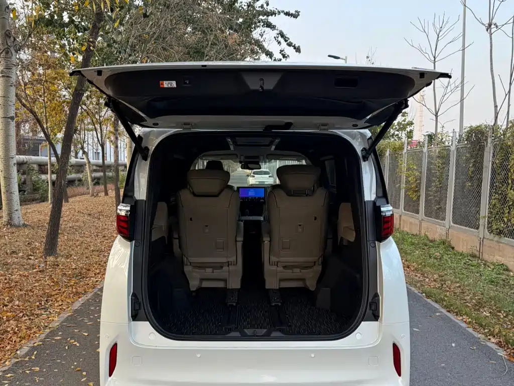 Alfa 2025 Dual Engine 2.5L Premium Gold Edition купить на сайте DeffCars