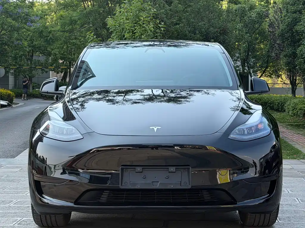 Model Y 2023 rear-wheel drive version купить на сайте DeffCars