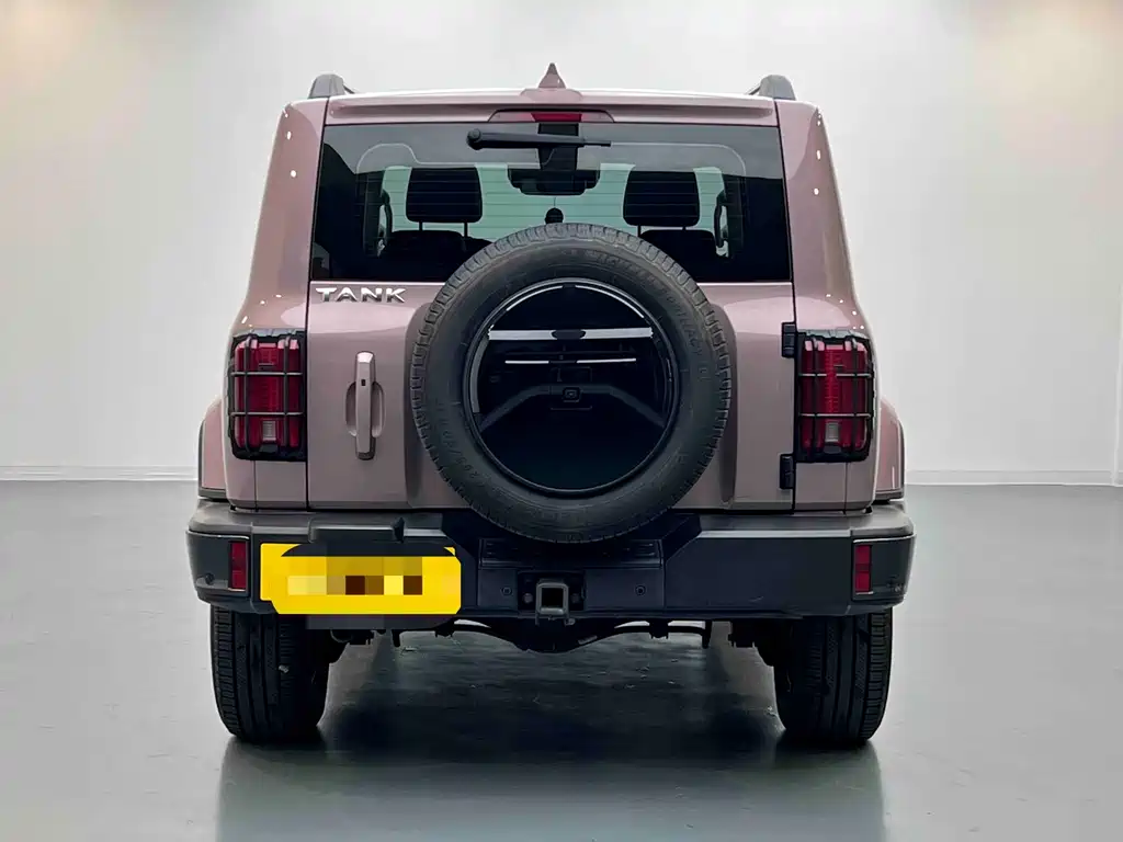 Tank 300 2023 City Edition 2.0T Very Stylish купить на сайте DeffCars