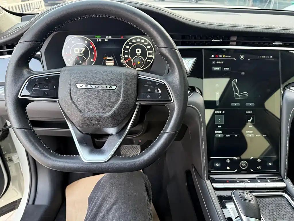 Venucia 2021 260T automatic 48V mild hybrid supercharged Xingyao version купить на сайте DeffCars