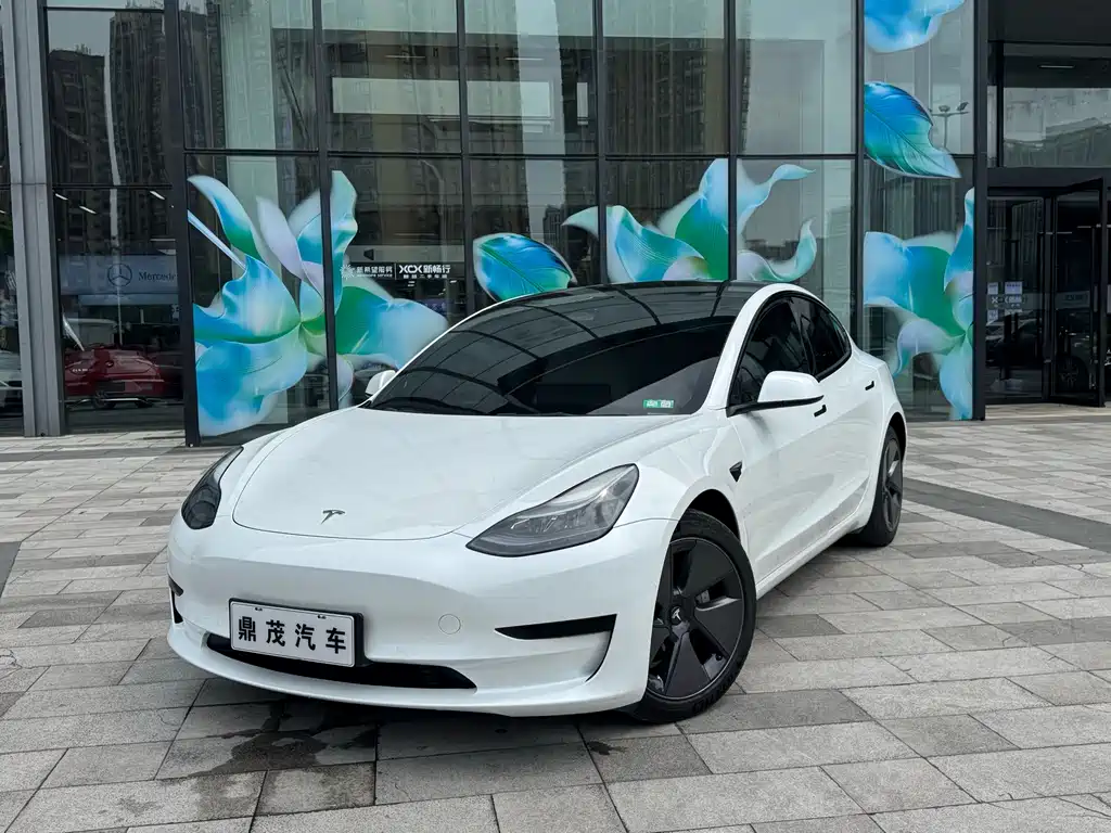 Model 3 2022 rear-wheel drive version купить на сайте DeffCars