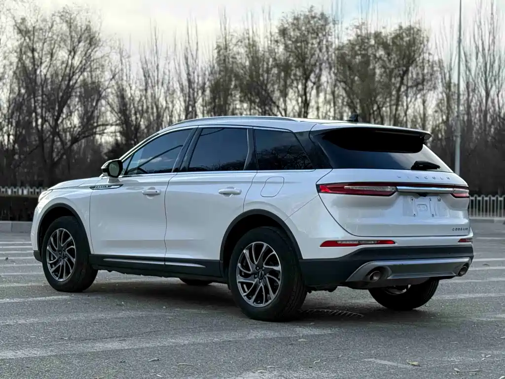 Adventurer 2021 2.0T Two-wheel drive Premium Edition купить на сайте DeffCars