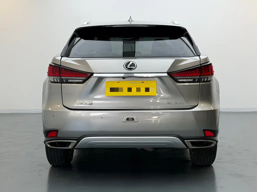 Lexus RX 2020 facelift 300 two-wheel drive elite version купить на сайте DeffCars
