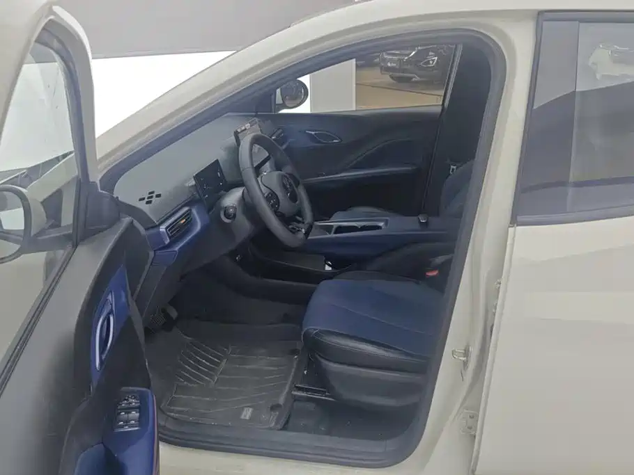 Seagull 2025 305km active version купить на сайте DeffCars