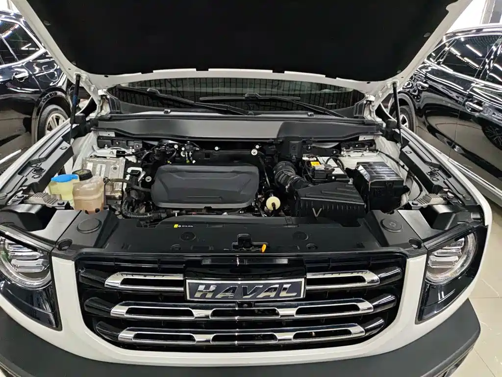 Haval Big Dog 2022 1.5T DCT two-wheel drive Border Collie version купить на сайте DeffCars