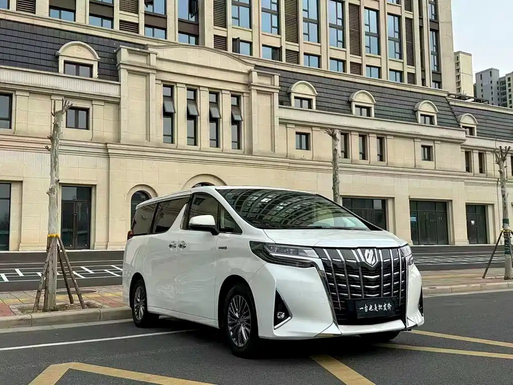 Alfa 2019 Shuangqing 2.5L Premium Edition купить на сайте DeffCars